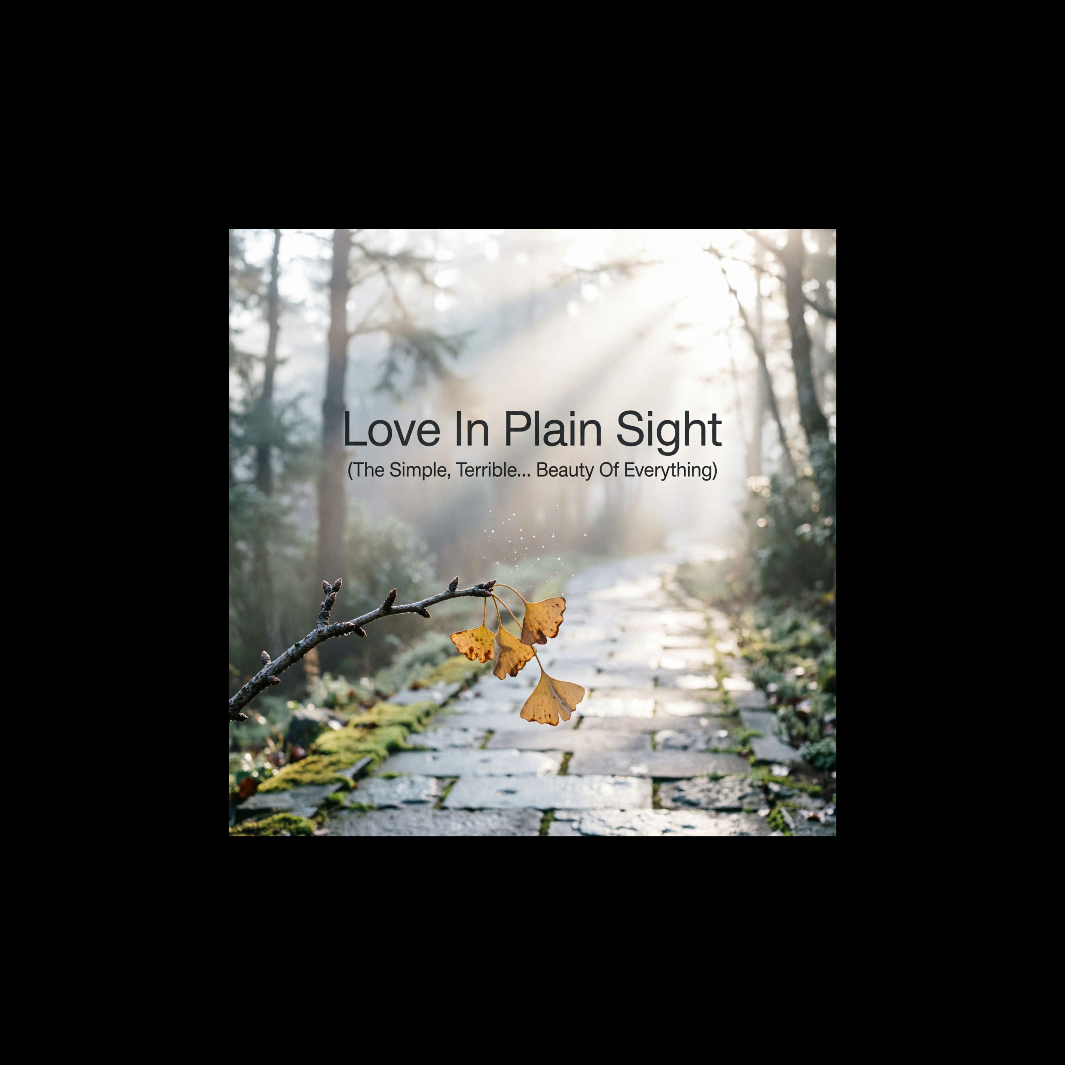 Love In Plain Sight (Simple Terrible Beauty Of Everything) Duration 11:21