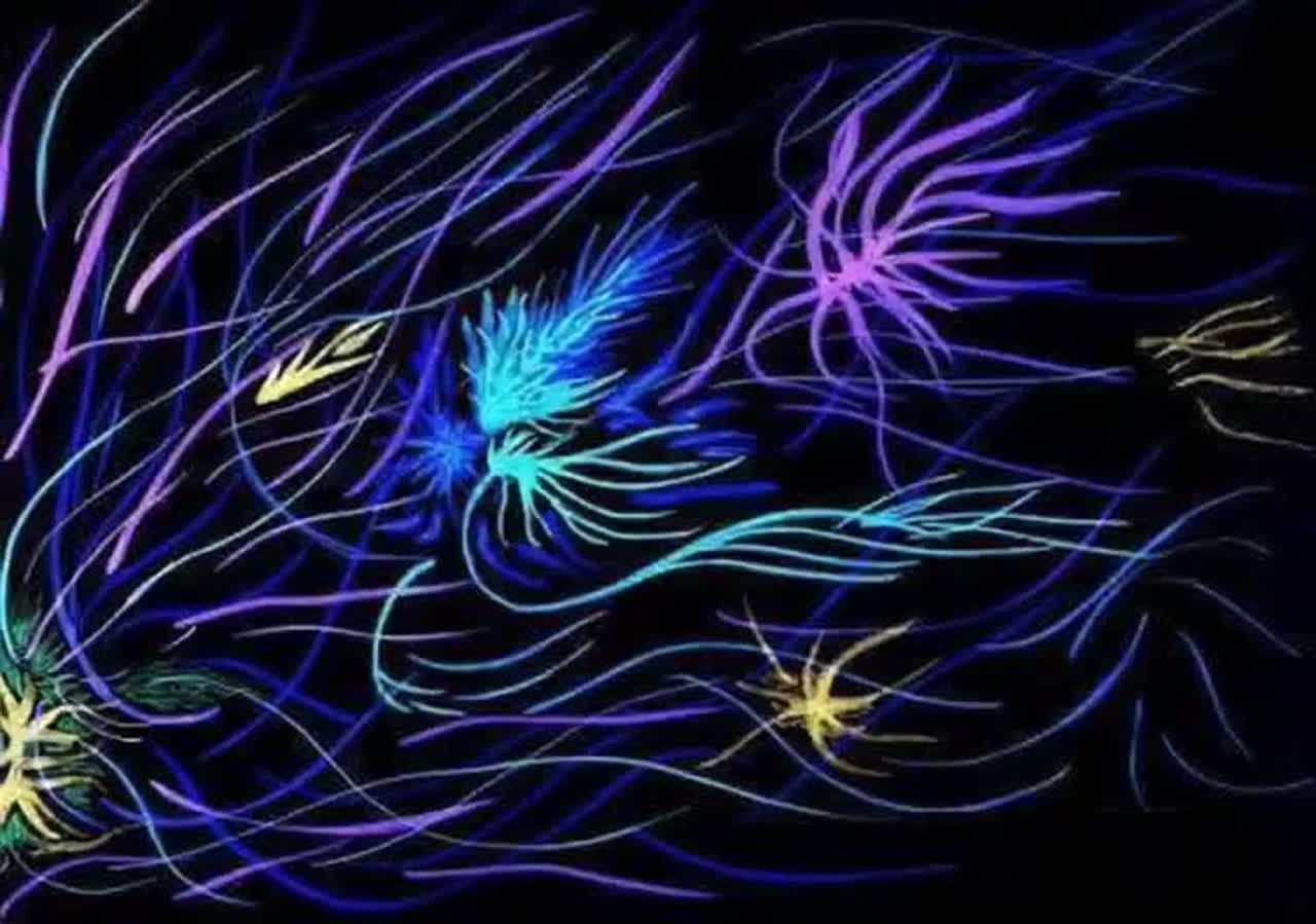 空は私たちの中にあります