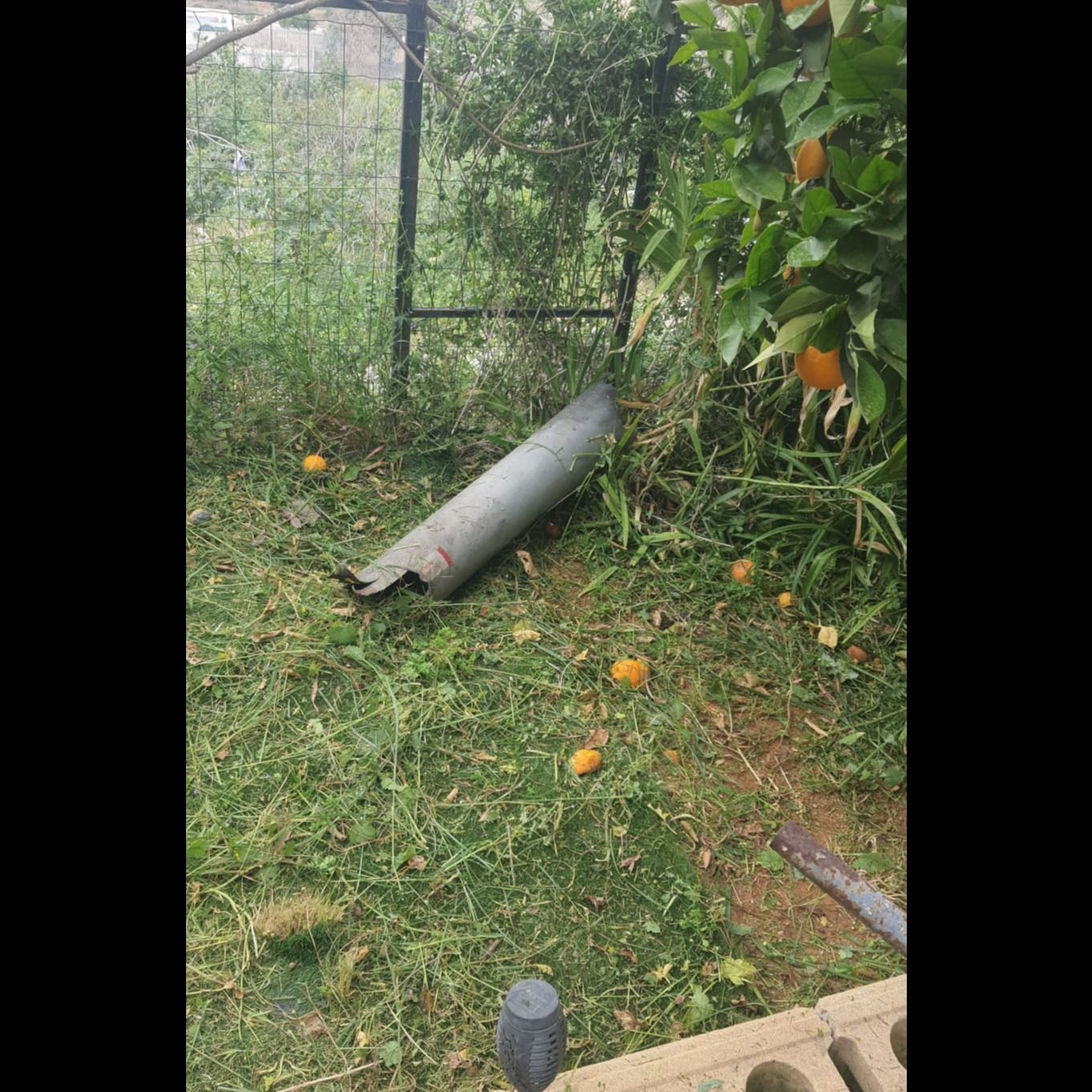 🍊 Orange Tree vs The Missile
