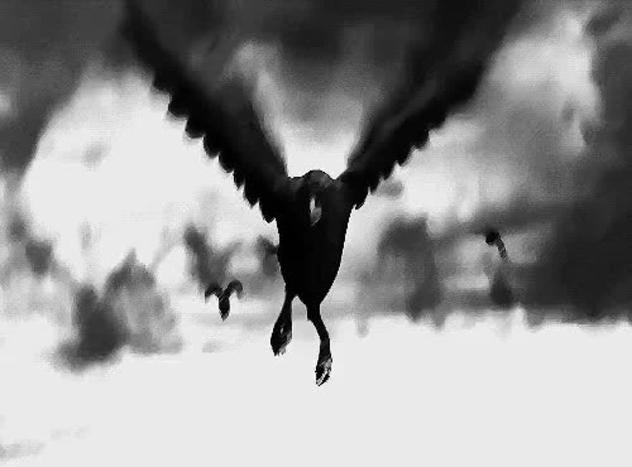 Fekete Varjak (26' Dark Remix)