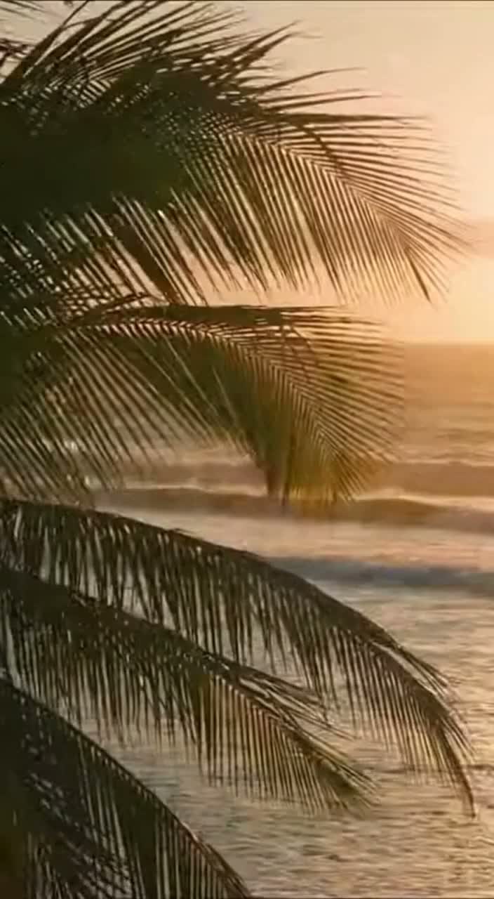 Nha Luz di Guiné (Guinea-Bissau)
