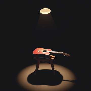 O Fado do Gato e da Pulga