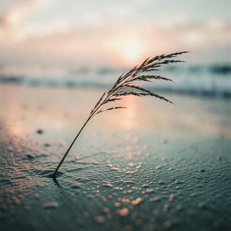 바람
