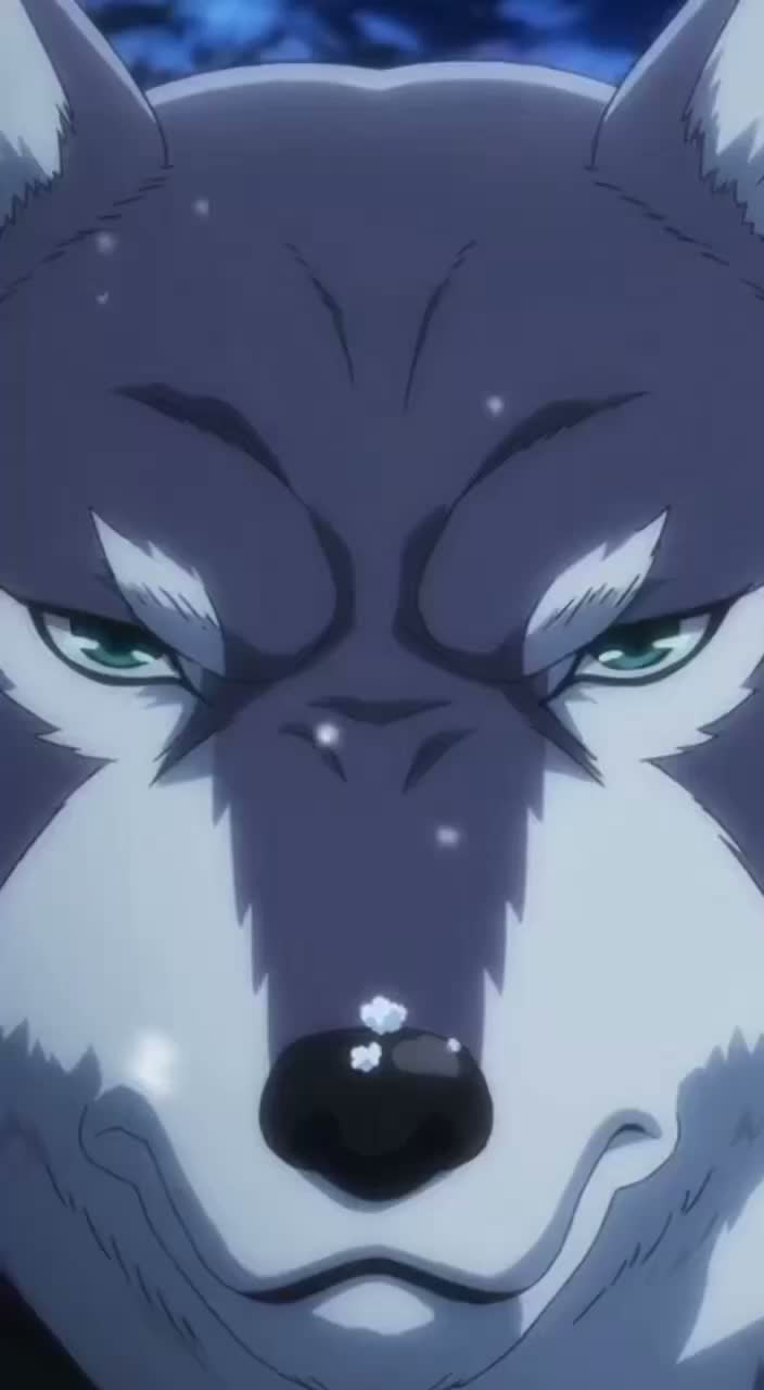 イニシャルWolf 俺の車は残クレだ