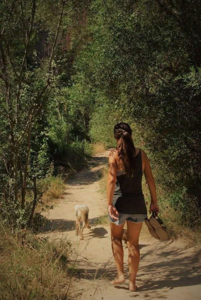 Una vida perfecta 