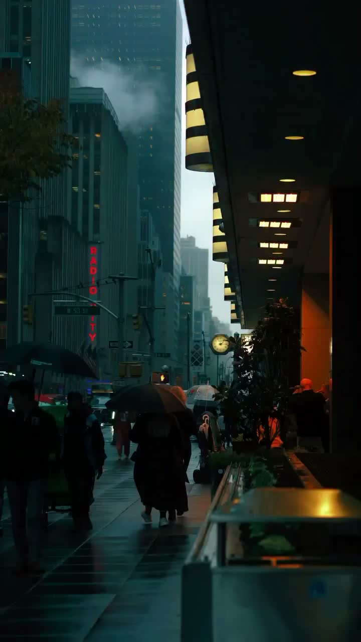 Stolen Night