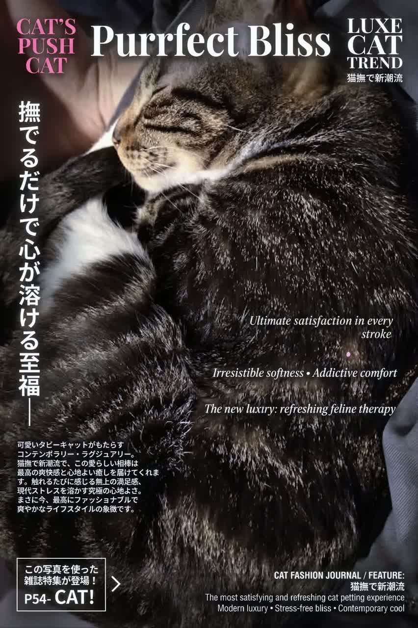擼貓新潮流 New Cat Petting Fashion ft.Beatsu