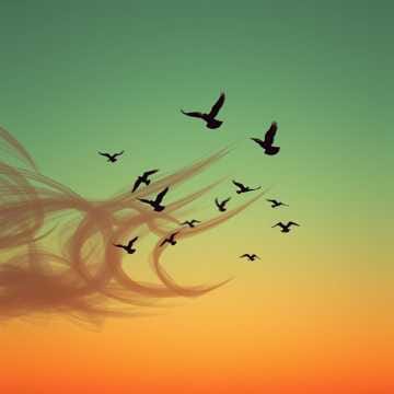 Birds needs air resistance...but