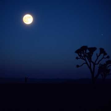 Songlines of Peace »
