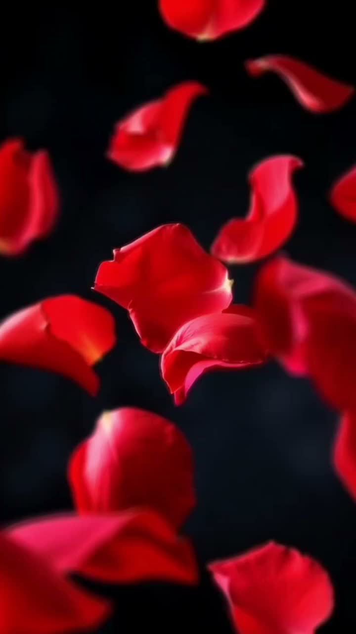 Я буду то... I will be it...