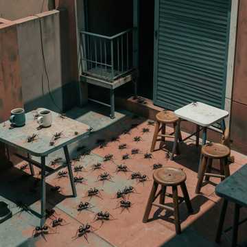 Terrasses en alerte 1