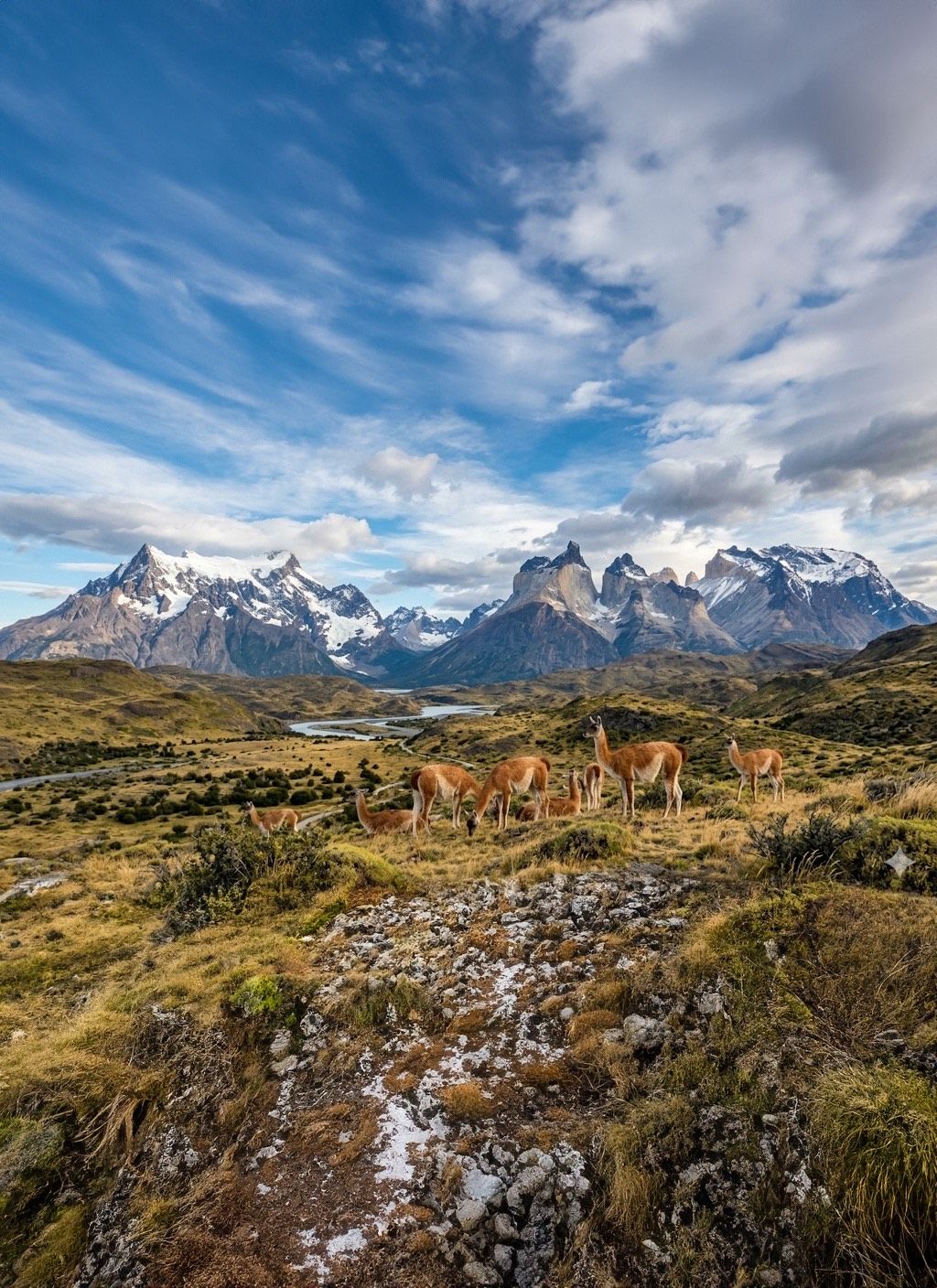 Patagonia 