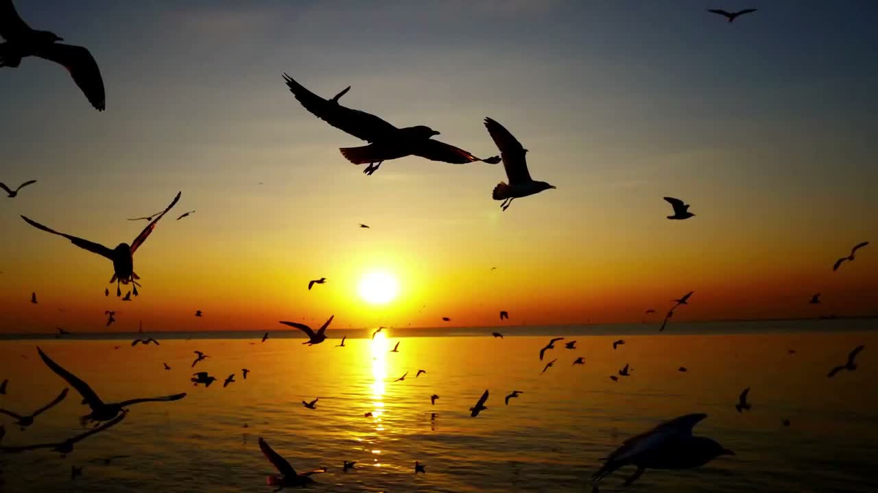 Run Into the Night (Reggae Version)