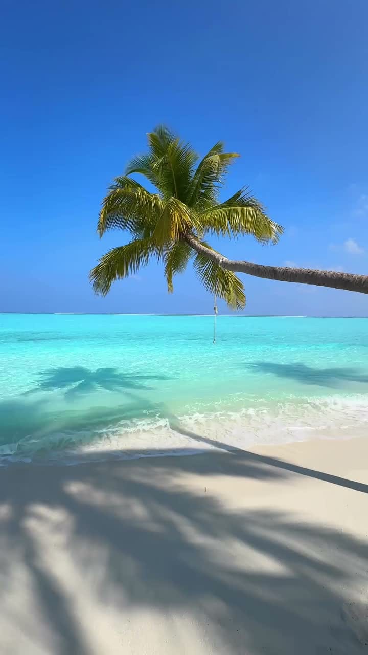 Golden Ocean Air