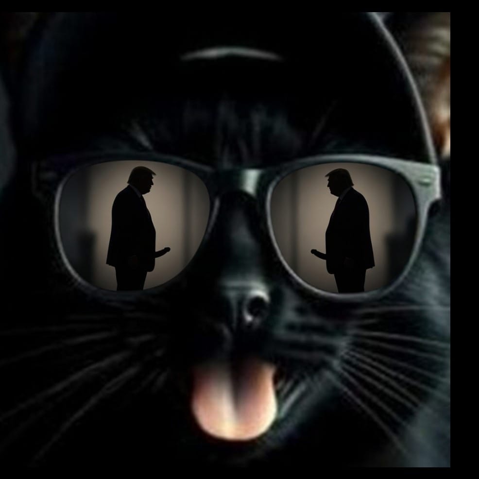 Still Love It (meowmix)