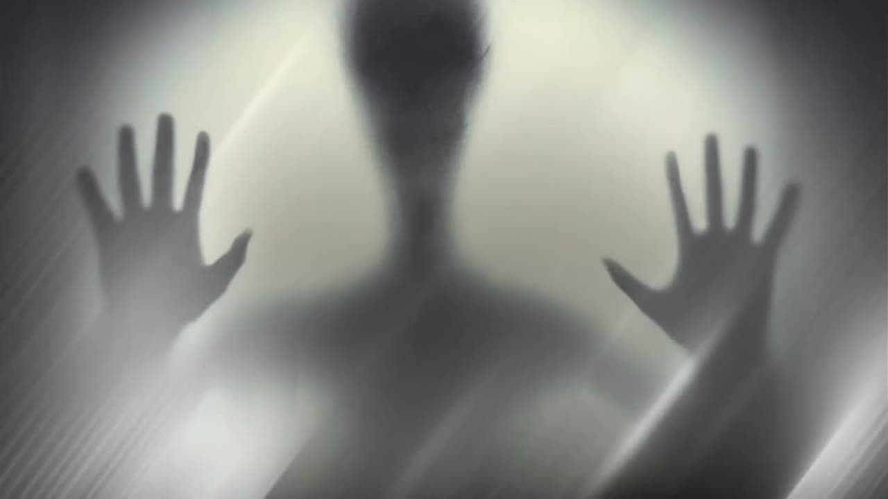 The X Files