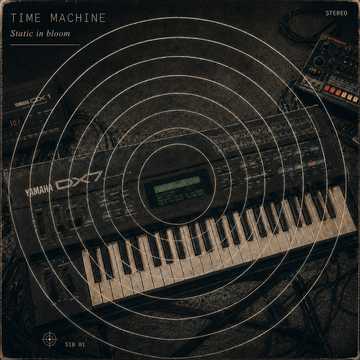 Time machine - Static in bloom