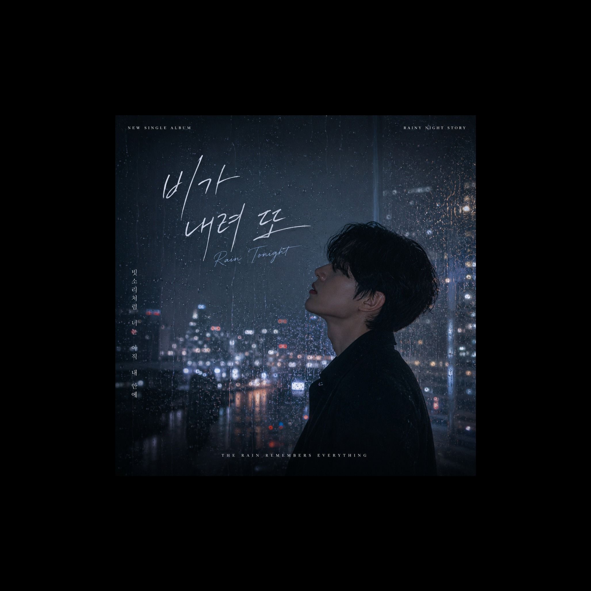 비가 내려 또