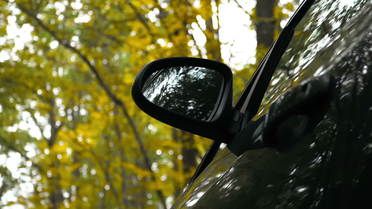 Objects in the mirror