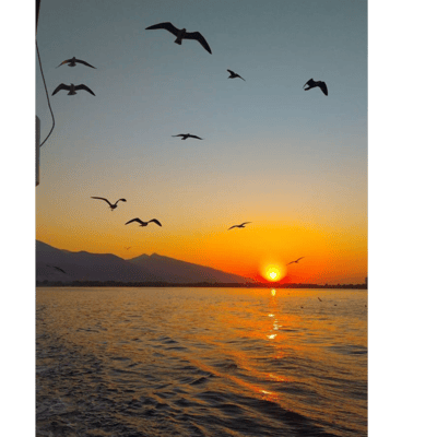“Al caer el sol”