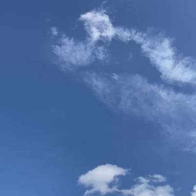 Under the Sky. Flight of the Hawk version