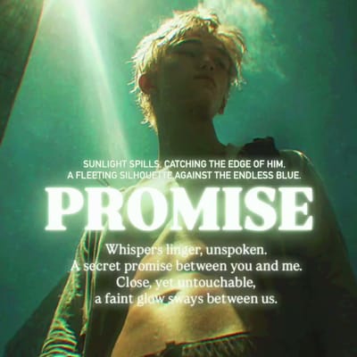 PROMISE