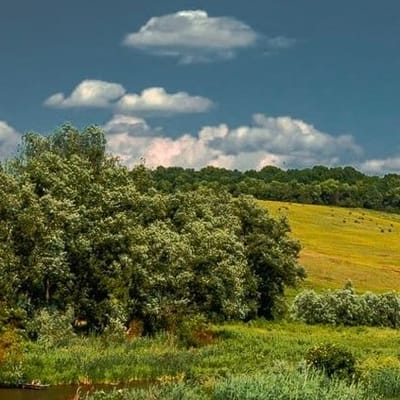 Україна – в кожнім серці (© text)