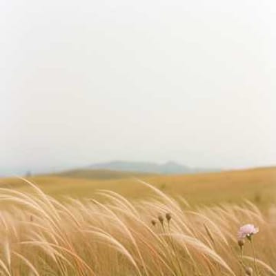 Stop and Breathe (Berhenti dan Tarik Napas)