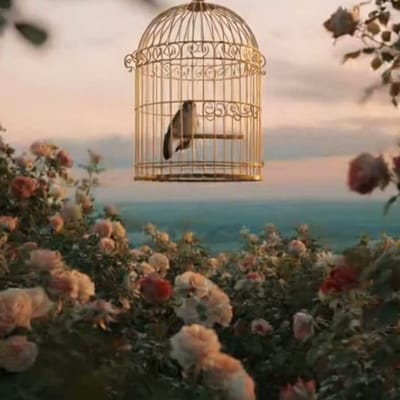 Пташка в клетке золотой…🌹