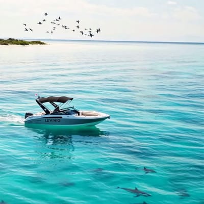 Sailing on the Ocean