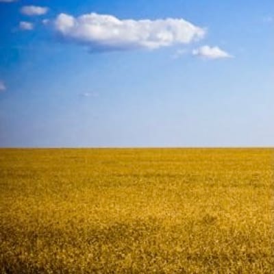 Тому що ми – українці (Автор вірша: Борис Базима. Переспів)