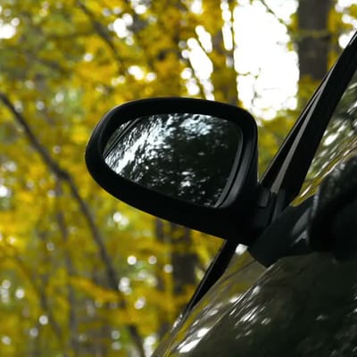 Objects in the mirror