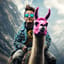 Drama for the Llama!