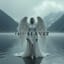 anti-HEAVEN