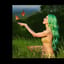 Butterflies n the Garden 