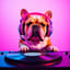 DJ Dog