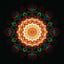 Organic House - technical_details