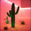 De dansende cactus