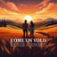 Come un volo (cover country)