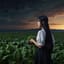 青菜に塩の夜