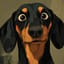 What The Bark is Wrong With You?