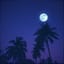 「MIAMI VICE NIGHTS」