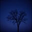 * To you who lost love - Do Jong-hwan