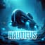 Nautilus