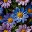 Faithful Blooms