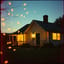 Fireflies
