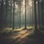 n09 그림자와 빛 Shadows and Light