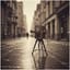 Boulevard des Lueurs Éteintes 🎞🎦