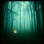 Vol de Nuit(French)