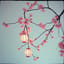 长恨歌 The Longing Song